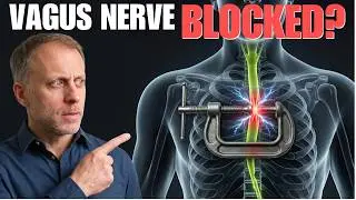 Your Vagus Nerve Isn't BROKEN &mdash; It's Being Blocked