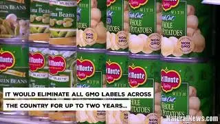 Whole foods market - linked up with monsanto with GMO food 🤔[must watch]