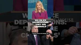 White House on ICE deportations: 'They are criminals'