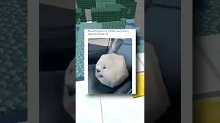 Очень-очень смешные мемы с животными 🐹