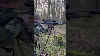 Sako S20 6.5 Creedmoor, nocking them down 🦌 #stalking #deer #deerhunting #hunting #rifle #wildlife