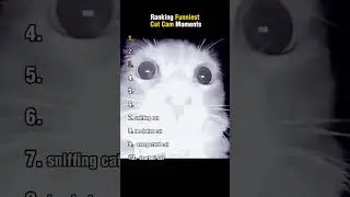 Рейтинг 10 самых смешных моментов с кошками!