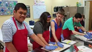 Disability Allies Inclusion Center Overview