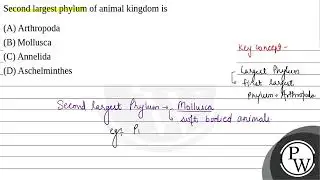 Second largest phylum of animal kingdom is....