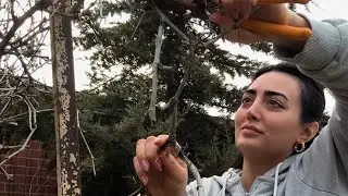 &Uuml;z&uuml;m&uuml;n budanması. Qarışıq videolar ve insta storyler 😊