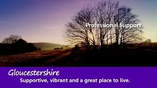 Gloucestershire CCG Professional Support