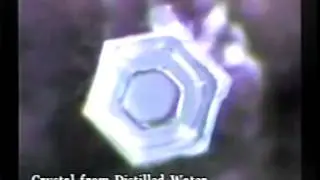 Messages From Water   Water Crystals In Motion   Dr Masaru Emoto