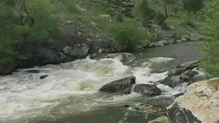 Clear Creek Advanced Whitewater Rafting