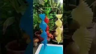 Spiral straw/ Recycling idea/ Home decor