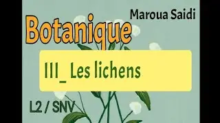 Botanique/ Chapitre 3: les lichens