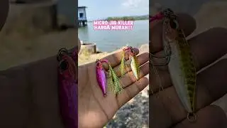 Micro Jig #microjig #metaljig #jigging #umpancasting #lurecasting