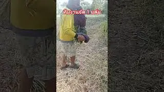 ออกต่อนกเขาใหญ่ กับทีมงาน