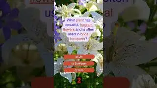What plant has beautiful, fragrant flowers and is often used in bridal bouquets?