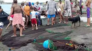 Fam Bonding ll ligo sa dagat ll plus may namumukot ng isda ll Malawaan, Rizal