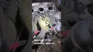 BMW 530i coolant leak oil cooler #automobile #mechanic #texas #puertorico #sanantonio