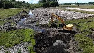 Massachusetts cranberry bogs get a second life as vibrant wetlands that benefit environment