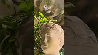 Secret Garden l Dubai