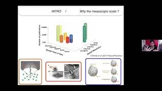 Fr&eacute;d&eacute;ric Chavane - Mesoscale Recordings in Macaque V1 : Cortical Waves and Motion Processing
