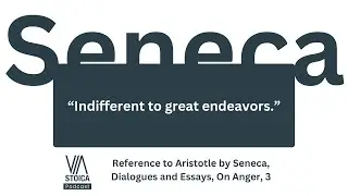 Stoic Quote: &ldquo;Indifferent to great endeavors.&rdquo; Seneca