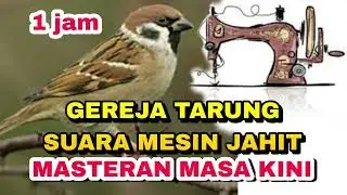 MASTERAN KOMBINASI GEREJA TARUNG MESIN JAHIT RAPAT TERBARU !! MUDAH DITIRU_ @sultanakbar