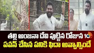 తల్లి అంజనా దేవి పుట్టిన రోజున పవన్ చేసిన పనికి ఫిదా అవ్వాల్సిందే| Pawan Kalyan Adopt Giraffe | 10TV