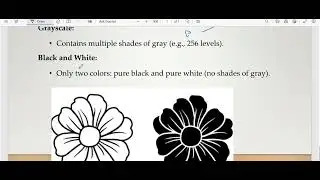 How computer process gray scale Images  in urdu/hindi