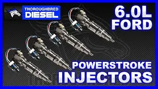 Upgrade Your Ford Powerstroke 6.0L With Thoroughbred Diesel Injectors! #diesel #ford #powerstroke