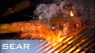 Pit Boss Navigator 850 Wood Pellet Grill