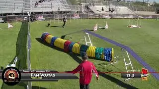 Cynosports Biathlon Agility 2024