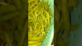 ٢٢ ديسمبر ٢٠٢٥