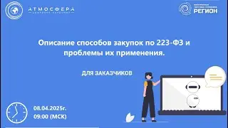 Описание способов закупок по 223 ФЗ и проблемы их применения