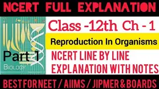Reproduction in Organisms Class XII NCERTexplanation for NEET/AIIMS/JIPMER &Boards Part 1