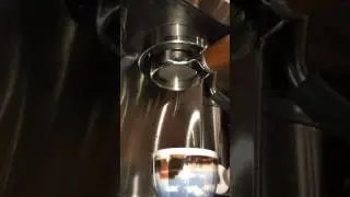 Pulling espresso shot with Red Bird Brazil Sweet Blue coffee beans
