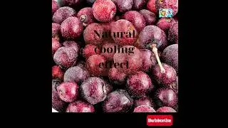 falsa benefits#short