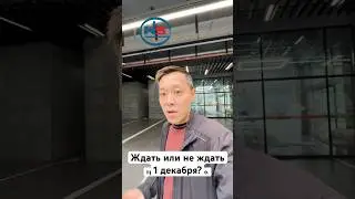 Ждать или не ждать 1 декабря? | NS Auto  #автоизкореи #автоподзаказ