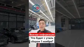Что будет с утильсбором 1 ноября? | NS Auto  #автоизкореи  #nsauto