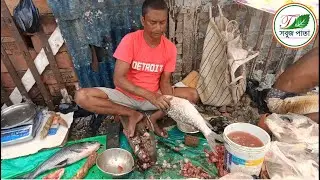 কলকাতায় কাতলা মাছ কাটার দৃশ্য।।Giant Katla Fish Cutting Skills Live In Fish Market | sabujpata