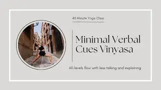 All Levels Vinyasa | 40 Minute Yoga Class | Minimal Verbal Cues / Talking Less