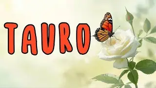TAURO - ‼️¿CÓMO LO HICISTE?😱LA SUERTE TE ACOMPAÑA🍀UNA BUENÍSIMA NOTICIA🙌🏼🎉LA JUTICIA DIVINA LLEGA⚖️🪽