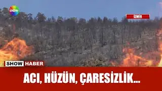 Köylüler kaçıp canlarını kurtardı!