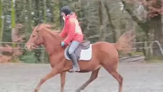 Hakeem en carri&egrave;re je revois chuck au m&ecirc;me &acirc;ge....