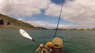 viking profish 400 lite