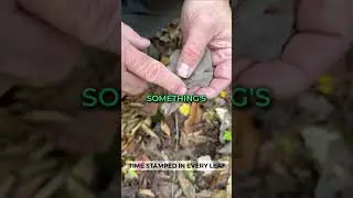 John Dutton Would Learn This First &mdash; Real Tracking Skills from the Wild