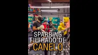 🔥Sparring Filtrado De CANELO!!