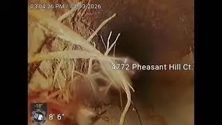 4772 Pheasant Hill Ct., Фэрборн, Огайо