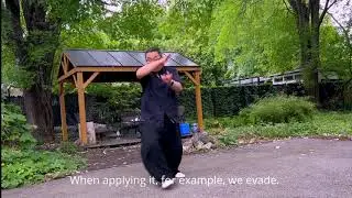 Evade To Fa Jin: Xue Dian Bear Movement