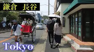 鎌倉・長谷寺　Tokyo Walking 🌞4K　Kamakura Hase　The Great Buddha　　Japan🎧HQ Binaural　高徳院・大仏・由比ヶ浜　（鎌倉市）睡眠用・東京散歩