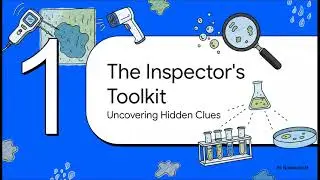 The mold inspection and testing process