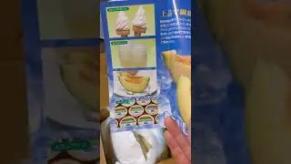Japanese way of packing a crown melon