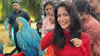 Petex 2023 #allaboutdatday #beautifulpets #lovelybirds